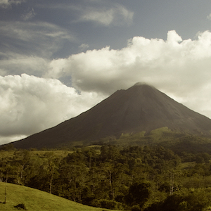 Costa_Rica_coffee